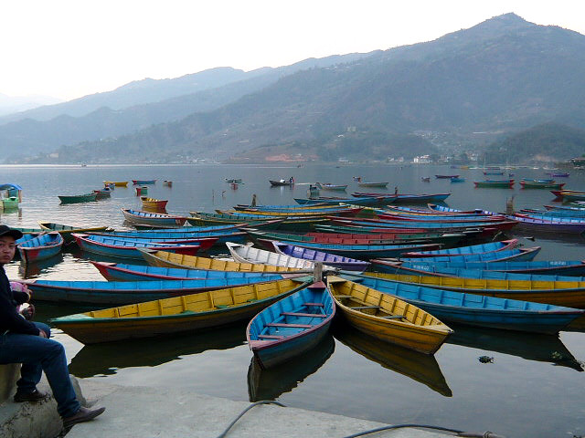 Boats on Phewa Lake