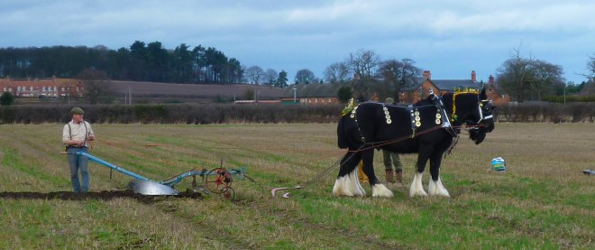 Ploughing 003