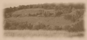 box hill Sepia