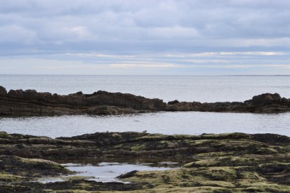 DSC_0915 Sailing pic